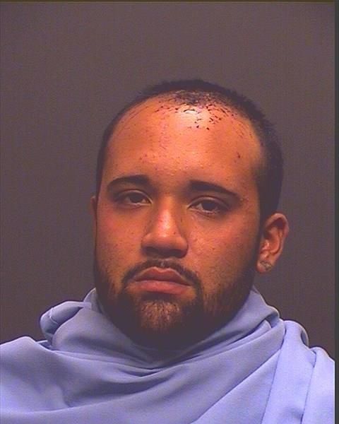 Mug shots 2017